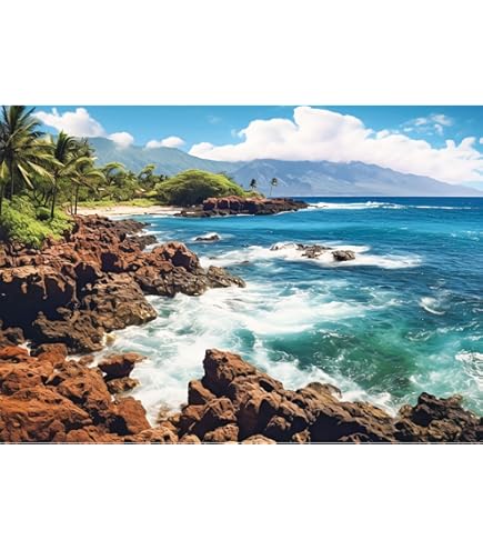 KEN AUSTER KAUAI COAST 2000ピース 内袋未開封 玩具 ジグソーパズル サンライク KEN AUSTER KAUAI COAST 2000